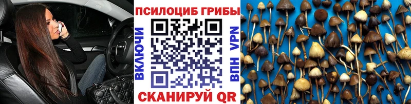 как найти наркотики  Карталы  Псилоцибиновые грибы GOLDEN TEACHER 